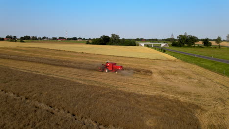 aerial dolly left shot showing red combine machinery vehicle gathering wheat from field