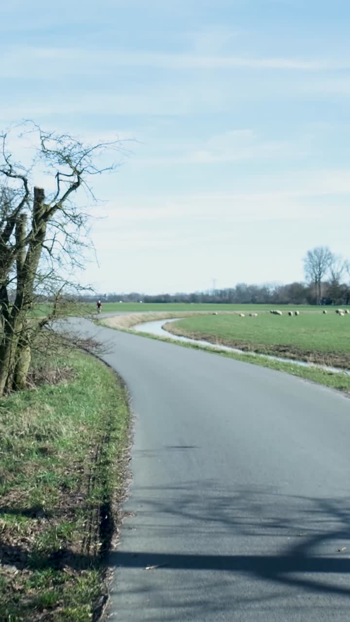 Fietser rijdt langs een kronkelende weg door groene velden