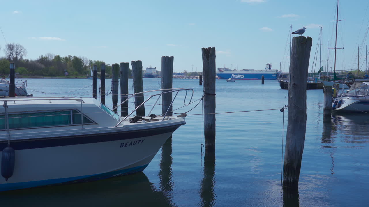 Boats are moored in the marina