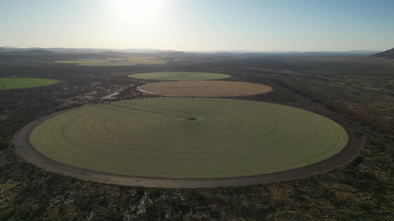 круговые сельскохозяйственные поля в сельской местности западной австралии во время захода солнца