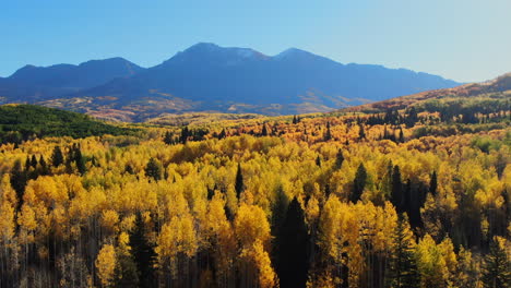 dramatic bright sunny sunrise morning autumn aspen tree fall golden yellow colors kebler pass aerial cinematic drone landscape crested butte gunnison colorado rocky mountains road trail forward up