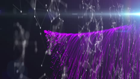 Animation-of-network-of-connections-over-explosion-of-purple-light-trails