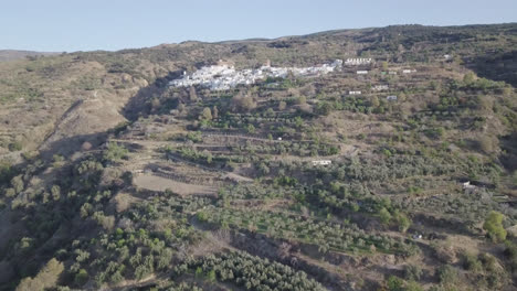 Sierra-Nevada-mountain-range---orchards-with-drone-shot-in-4k