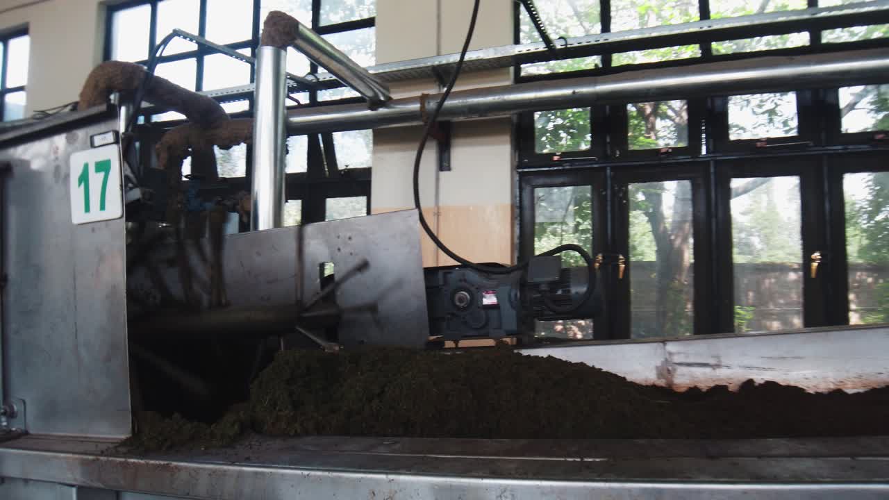 Tea Processing Machinery in a Factory