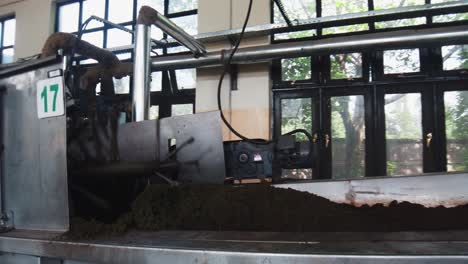 tea processing machinery in a factory