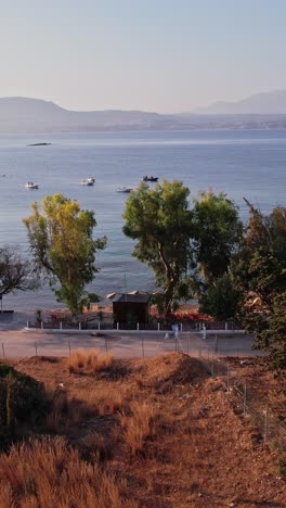 coastal view with trees and boats at sunset near a tranquil bay