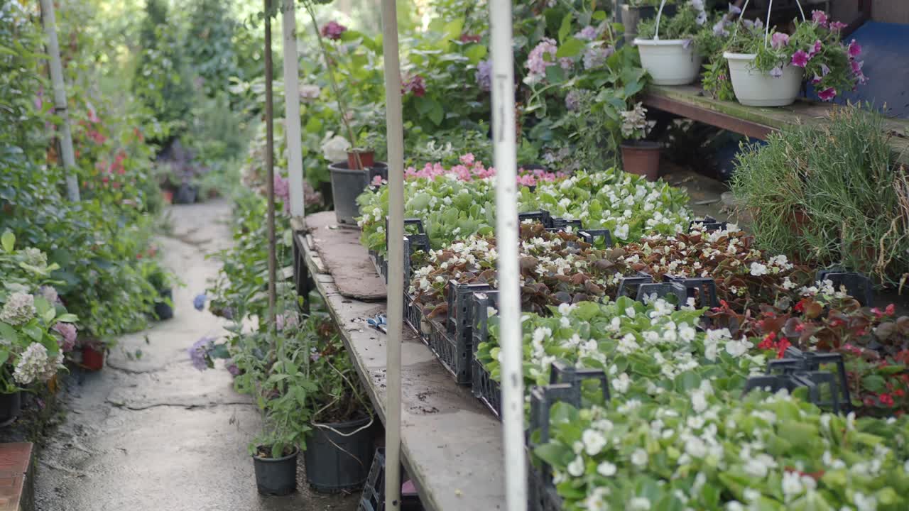 Flower and Plant Shop