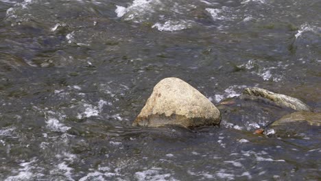 river water flowing over small rock, rapids down a stream of yangjaecheon in seoul, south korea