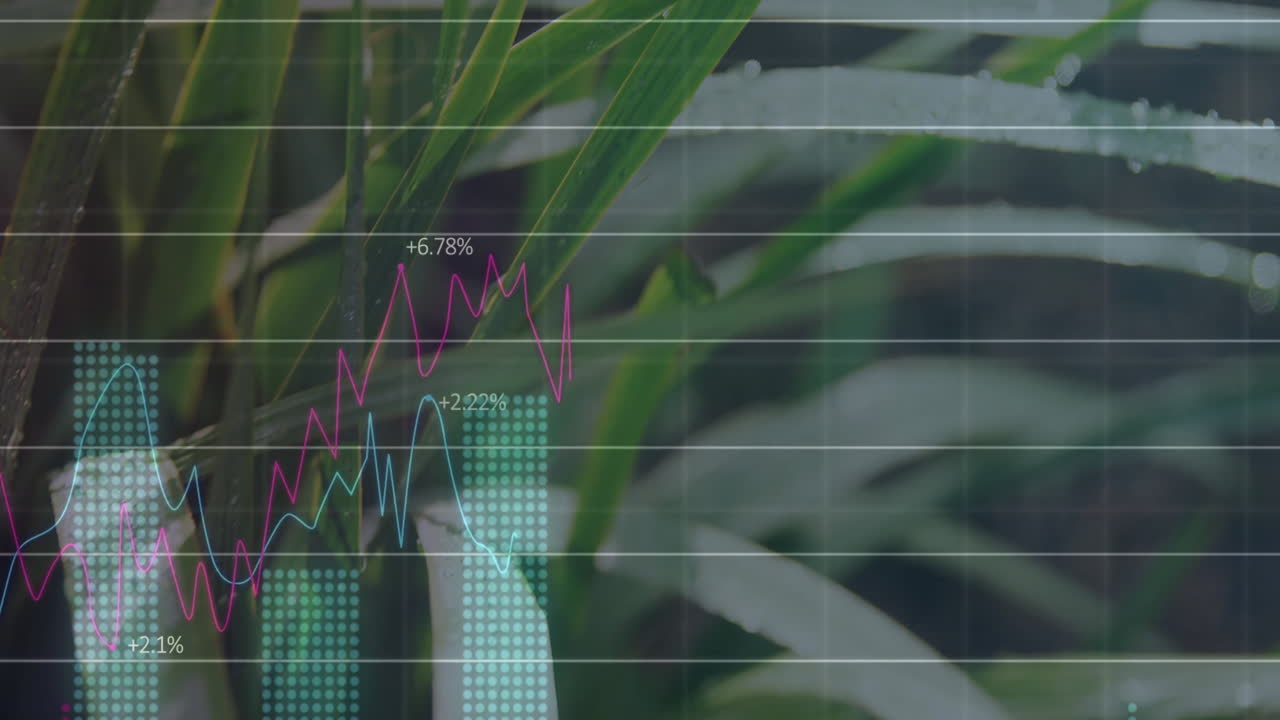 Flat design chart overlay displaying fluctuating magenta and cyan lines with dotted turquoise bars