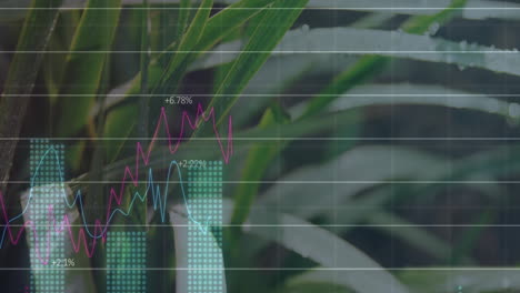 flat design chart overlay displaying fluctuating magenta and cyan lines with dotted turquoise bars