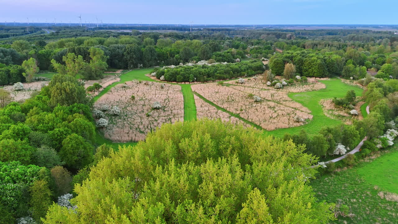 Dutch landscape shows rich nature. Vibrant greenery covers the land in the Netherlands, showcasing a diverse natural environment under a clear sky