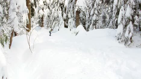 Woman-snowboarding-through-forest-4k