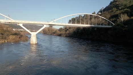 aerial shot under a bridge in the river miño in spain, great vegetation