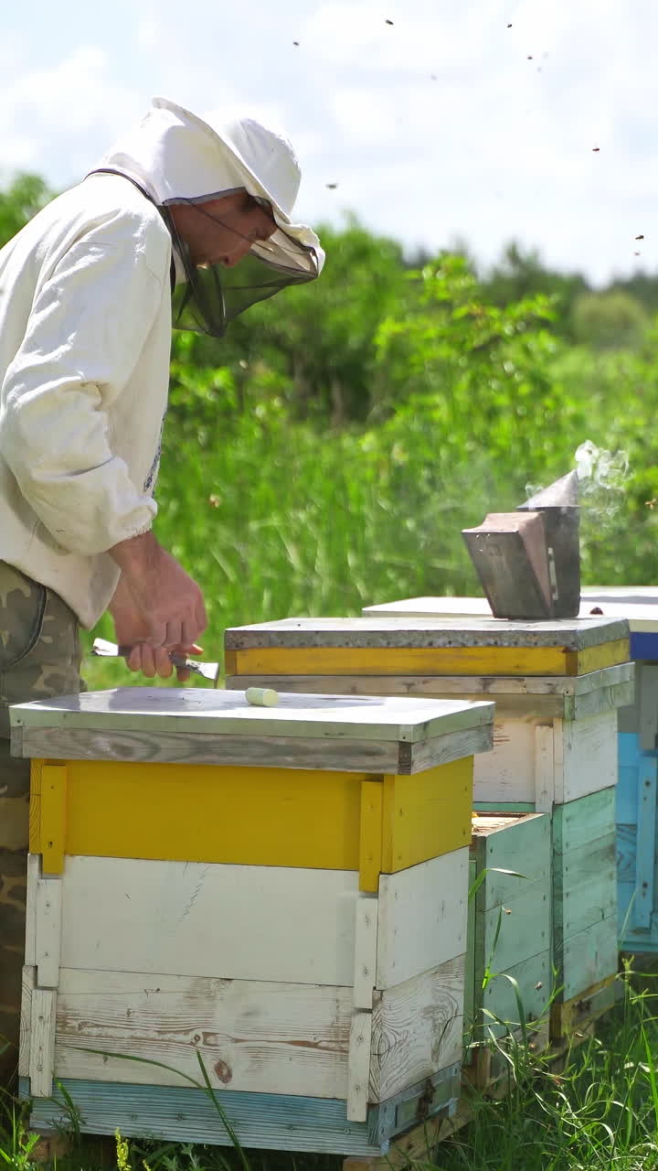 Apicoltore al lavoro in un apiario. Apicoltore che maneggia un'arnia con fumo bianco.