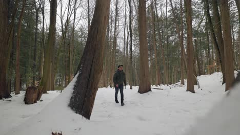 Statische-Aufnahme-Eines-Wanderers-Im-Schneebedeckten-Winterwald,-Der-Auf-Die-Kamera-Zugeht