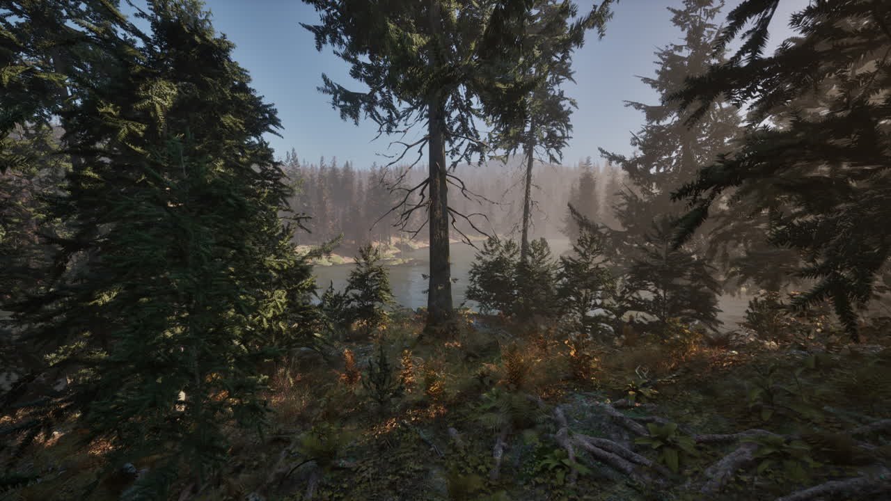 lago de bosque de niebla