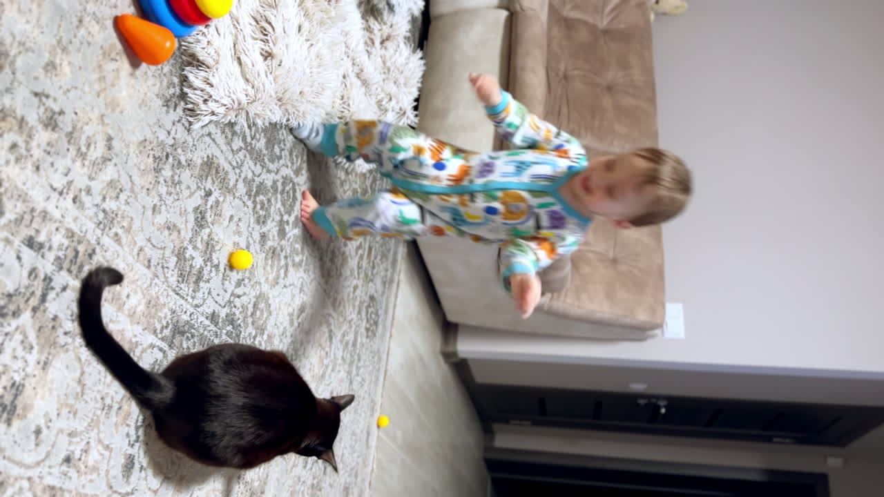 Black shiny domestic cat sitting on the carpet in the room. Adorable happy baby boy enters the room and sits near the pet and a toy pyramid. Vertical screen.
