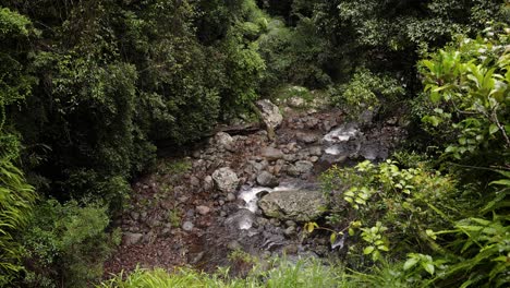 Wide-top-down-shot-of-Cave-Creek-from-along-the-walking-trail,-Natural-Bridge,-Springbrook-National-Park