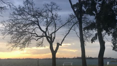 Sunset-lake-with-swaying-trees