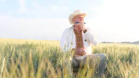 alone in the field the steppe the grandfather plays the harmonica alone in the field the steppe the grandfather plays the harmonica an old man in ukrainian clothes sits among agricultural crops