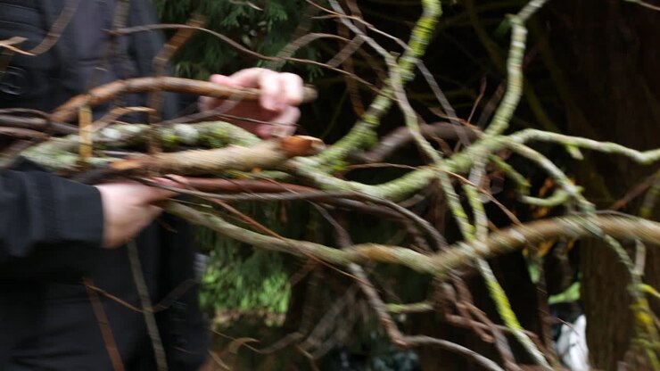 A man carrying tree brances and stick in the woods