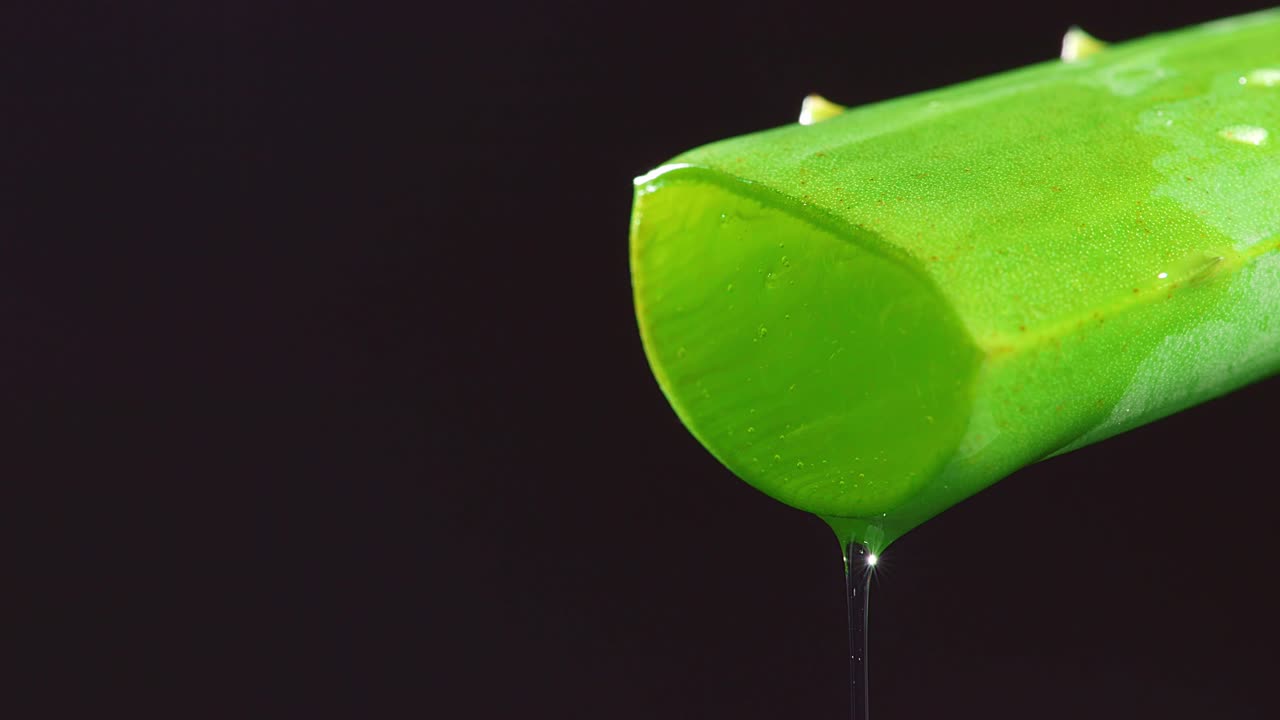 알로에 베라 잎의 느린 움직임과 주스, 젤은 검은색 배경에 줄기에서 흘러내립니다. 유성 식물 잎, 유기 화장품을위한 자연 의학 식물.