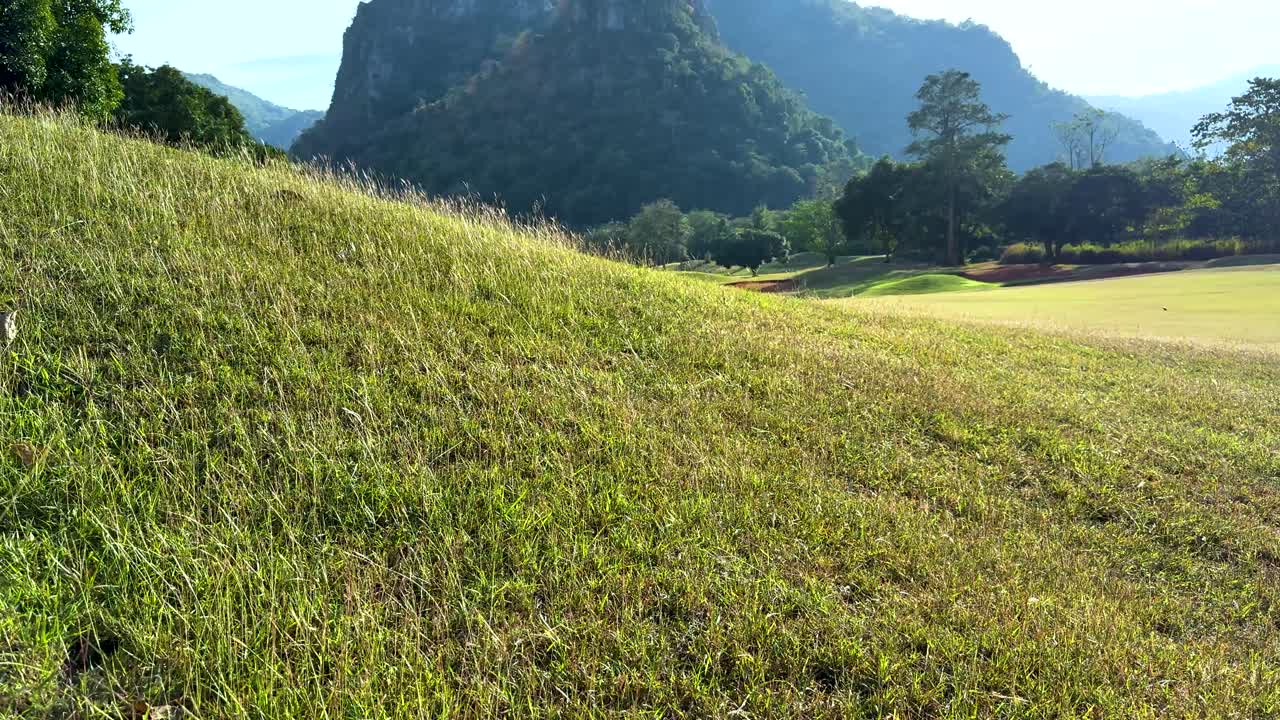 산과 골프장 이 있는 울창 한 풍경
