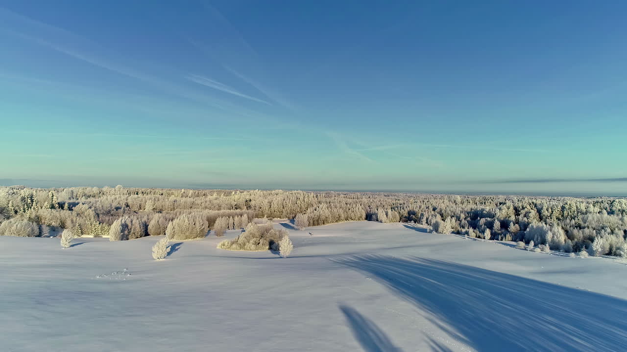 Høyt over et vinterlandskap og en eviggrønn skog på en vinterdag – langsom luftflyvning
