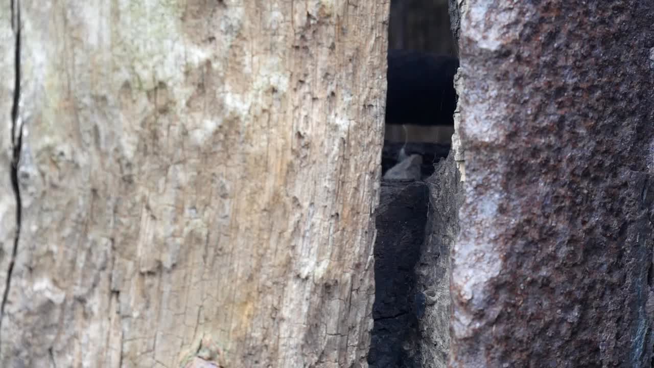 madera desgastada vintage abandonada y superficie de acero rugoso oxidado closeup dolly izquierda