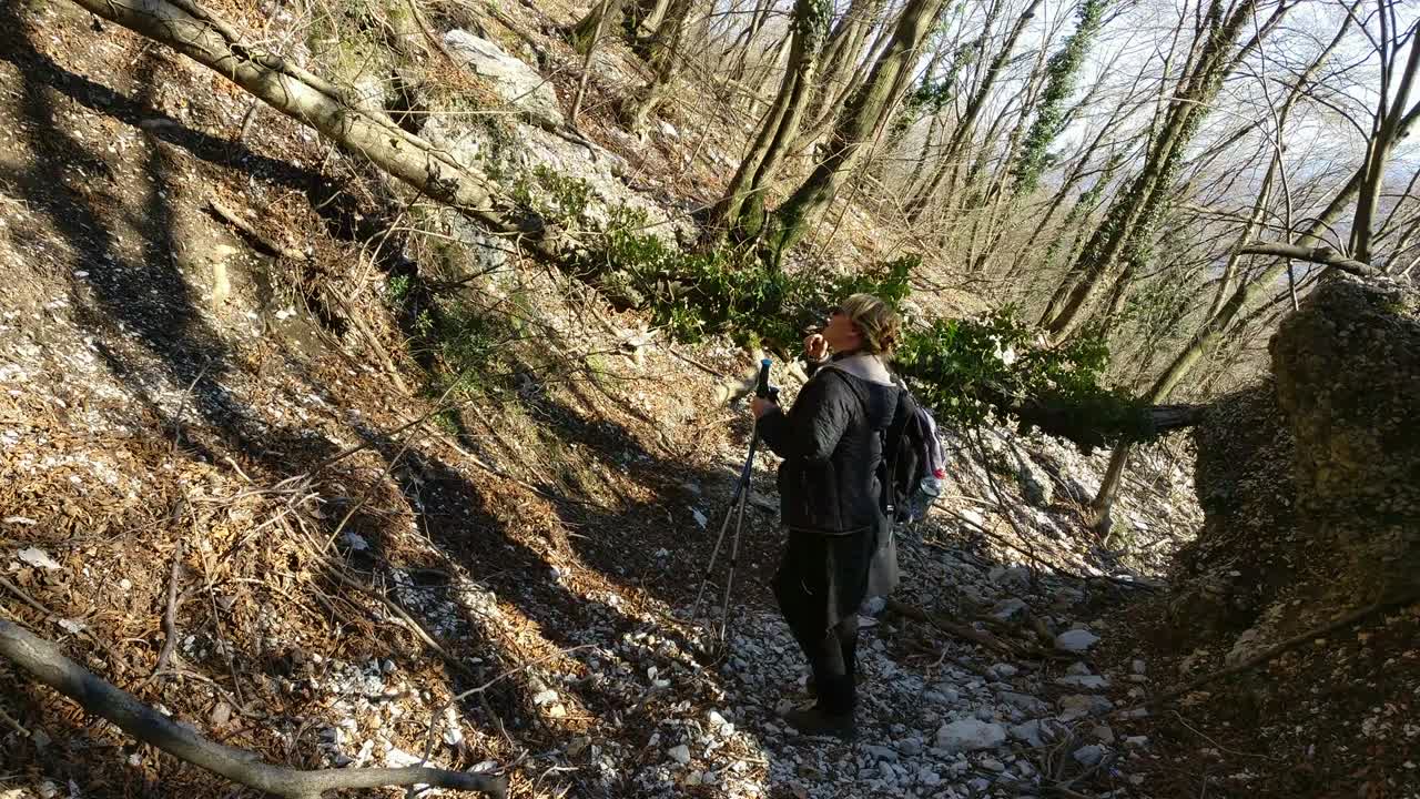 스칸디나비아의 지이를 가진 산의 길을 고 있는 금발의 여자
