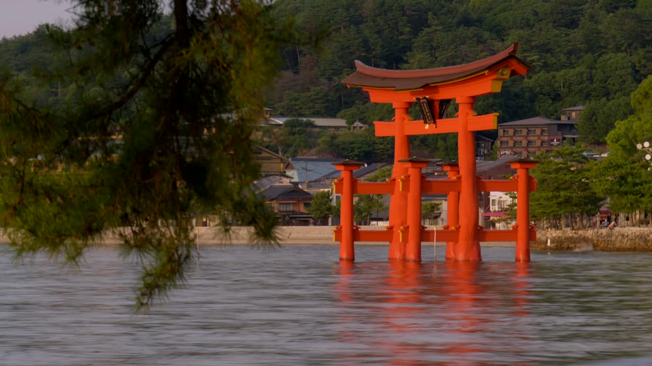puesta de sol timelapse de la vista de atrás del gran gigante rojo torii de su santuario de itsukushima en miyajima hiroshima símbolo japonés del budismo marea dentro del templo cargado