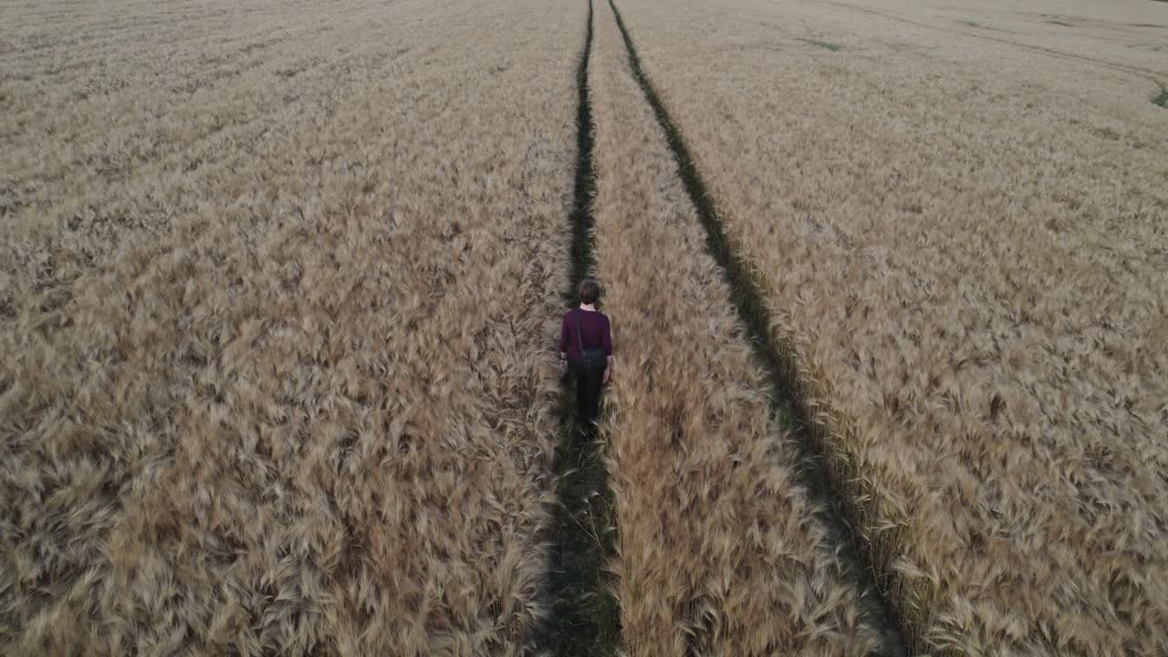 Person walking through a golden wheat field