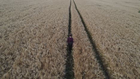 person walking through a golden wheat field