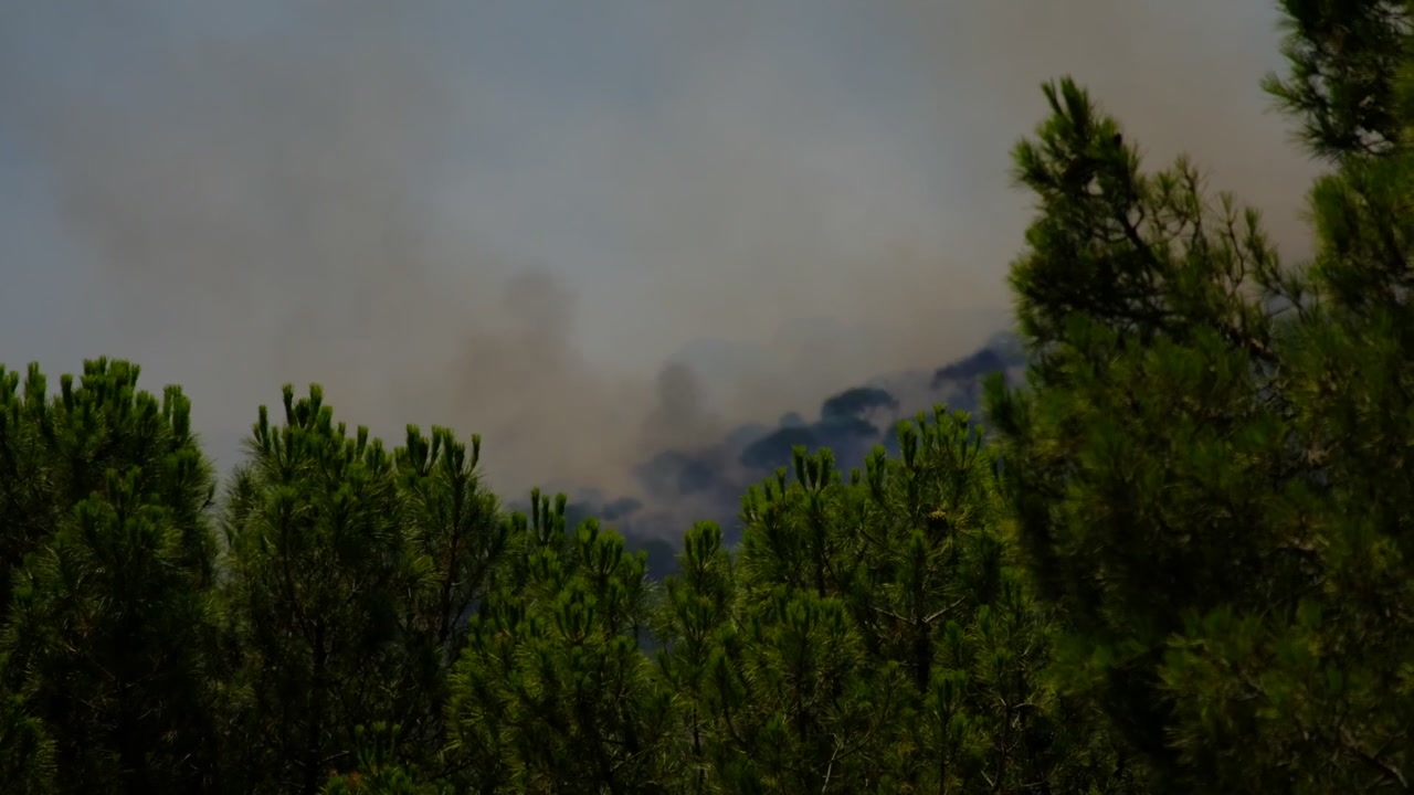 Fumo denso di incendio boschivo si alza dietro i pini nelle montagne vicino alla Valle de Iruelas e al bacino di El Burguillo.