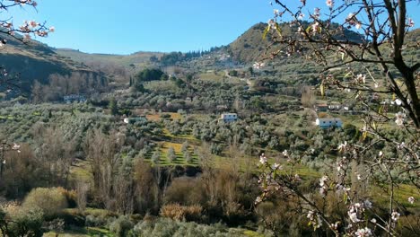 Flor-De-Cerezo-Escénica-Con-Fondo-De-Campo-Agrícola