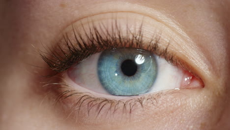 close up macro blue eye opening natural human beauty healthy eyesight