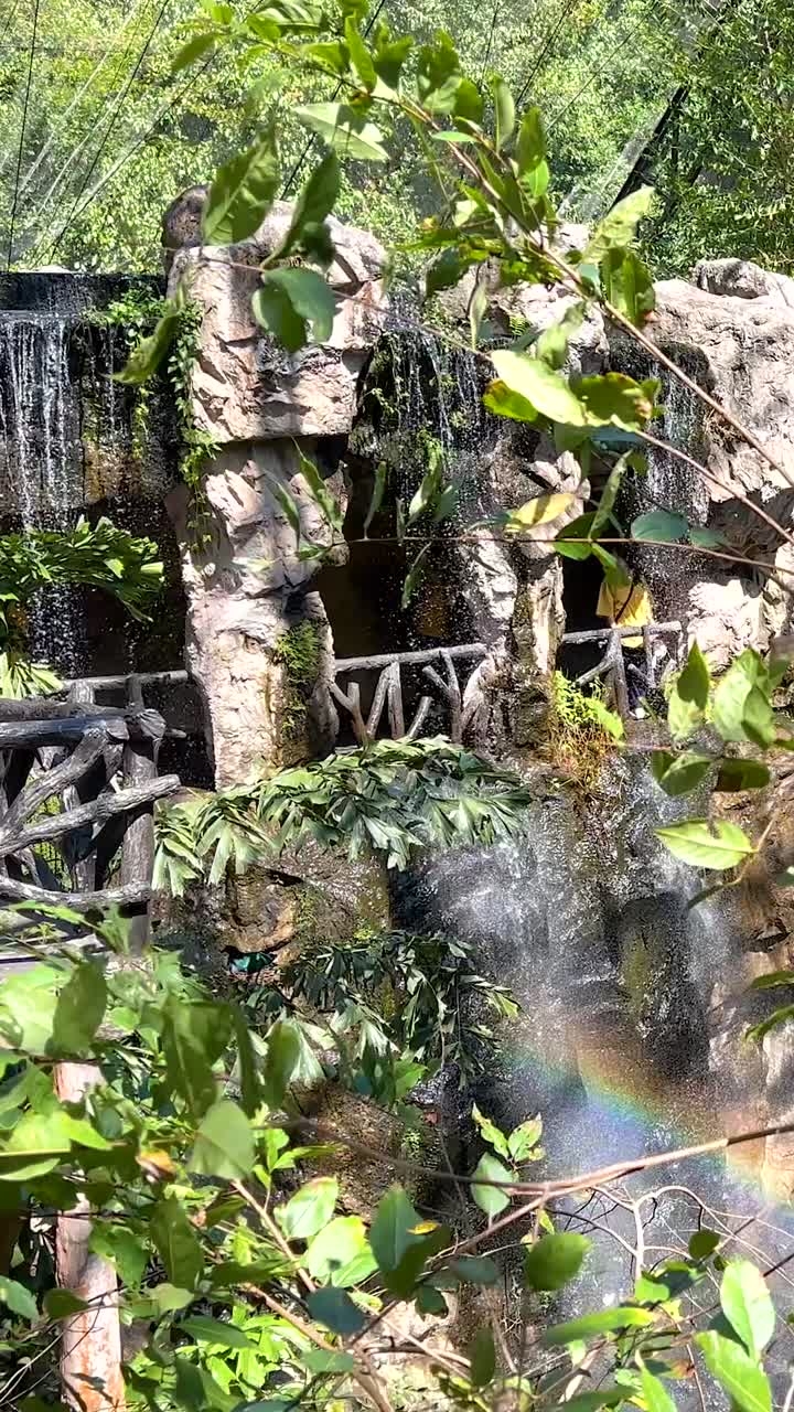 vegetación exuberante y cascadas en chonburi, tailandia