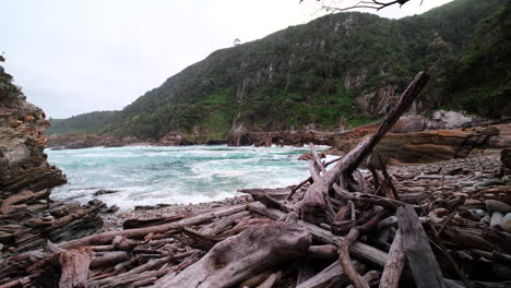 driftwood washed up onto rocky beach at storms river mouth, garden route