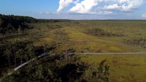 Aerial-of-Riisa-bog-in-Soomaa,-Estonia-during-summer