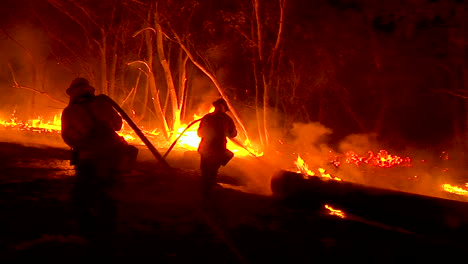 los bomberos trabajan arduamente para contener los incendios forestales que arden fuera de control durante el incendio de thomas en el condado de ventura, california 1