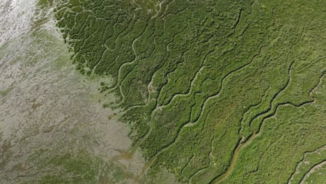 satellite like view of scenic floodplains, tidal landscape, aerial view