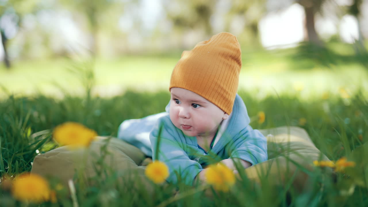 Adorable Caucasian boy wearing blue overall lies in grass. Cute child looks aside thoughtfully. Blurred nature backdrop.