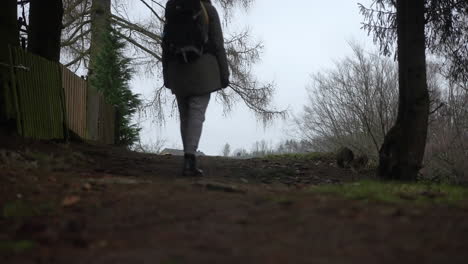 Woman-with-backpack-wandering-on-forest-path-into-distance