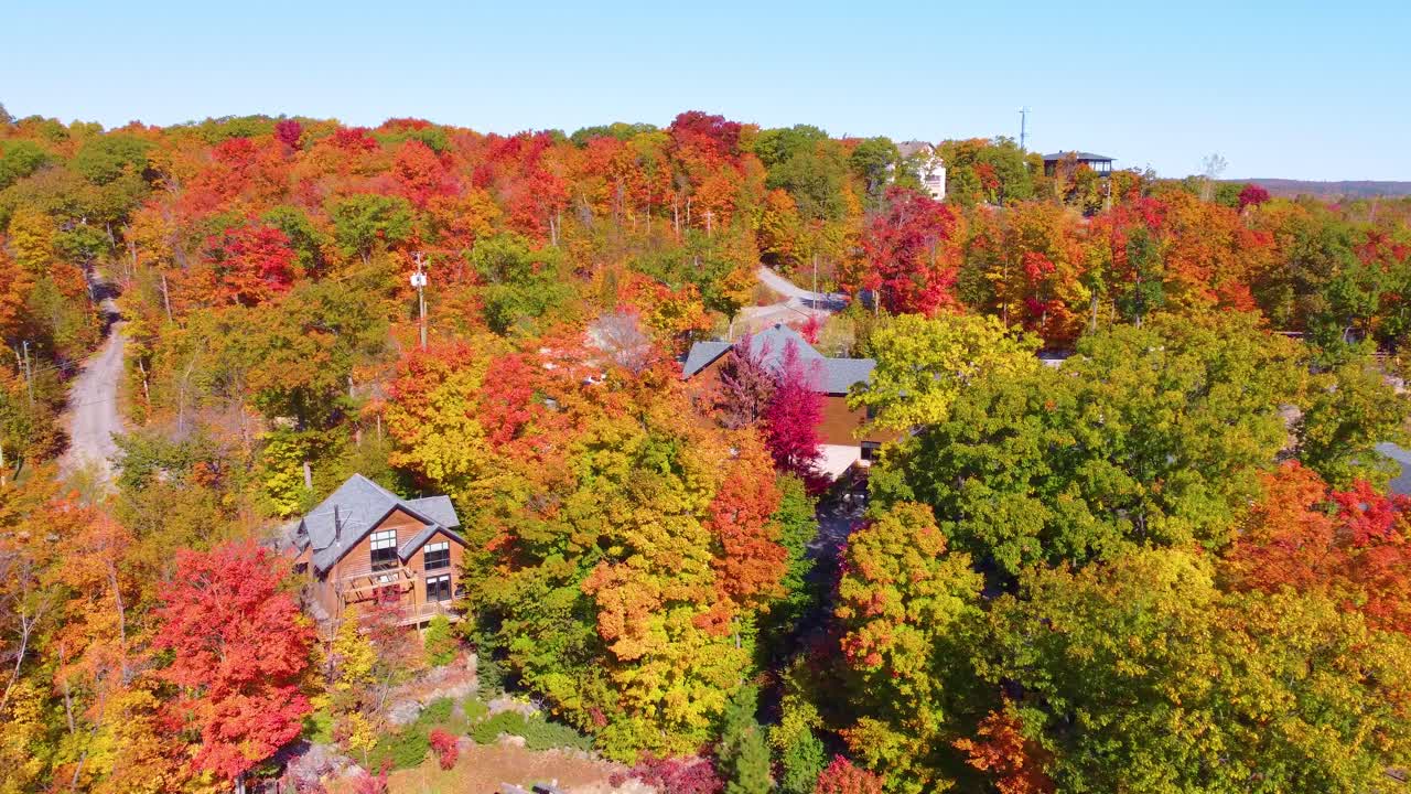 Vibrant Canadian autumn forest trees and small village, aerial view