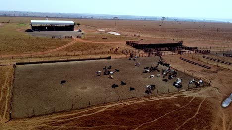 cattle farm, barn for protecting animals from elements and pens for security