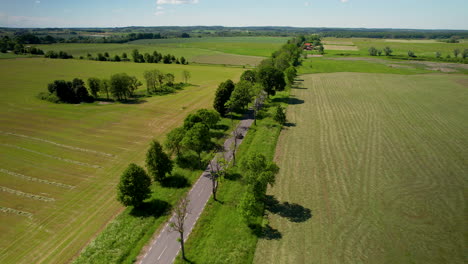 a road between farm fields and green trees