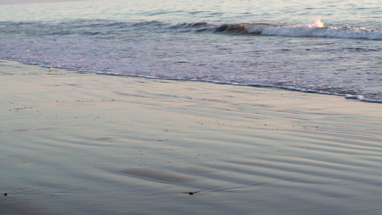해변의 새들과 해변에 부서지는 파도