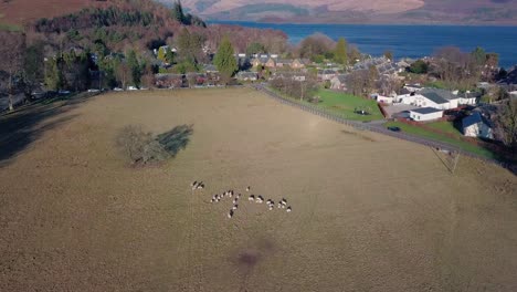 forward aerial shot of luss in the highlands of scotland and in the background loch lomond during golden hour