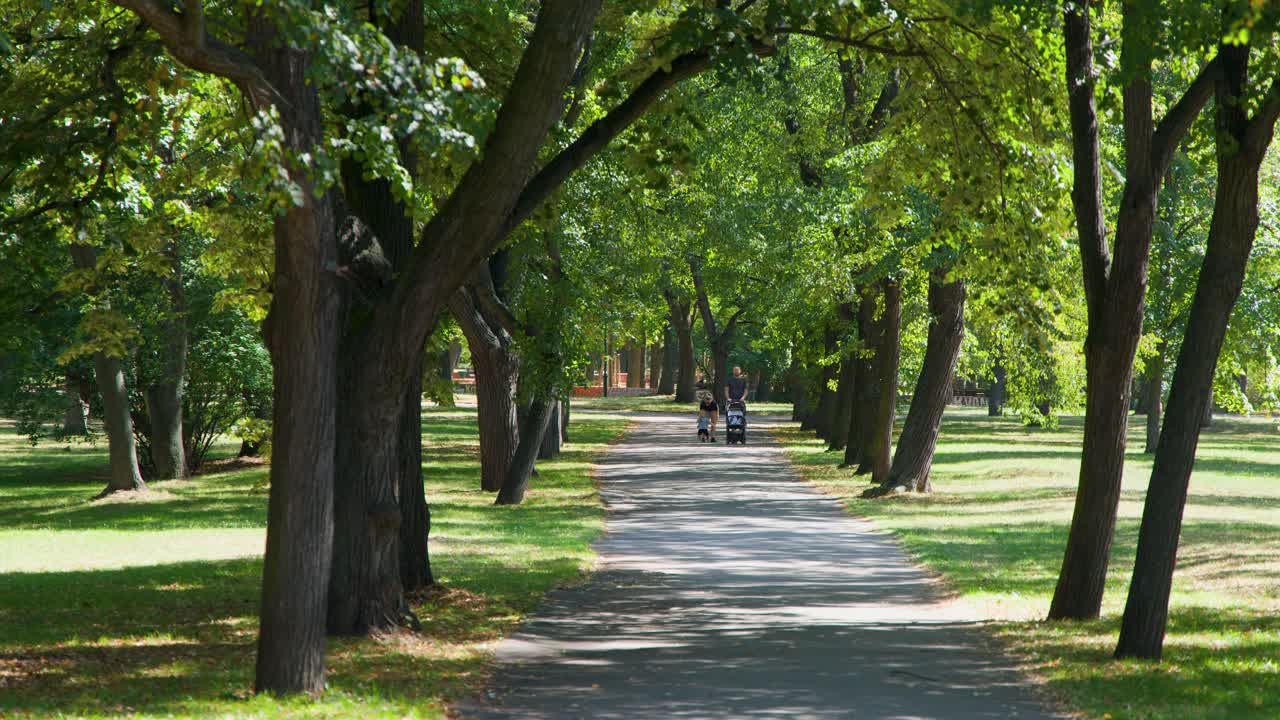 Family walks with stroller along sunlit, tree-lined path in Prague park, steady camera, daylight