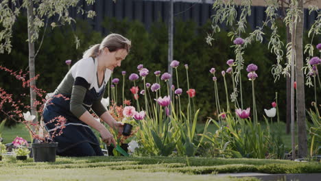 mujer de mediana edad plantando flores en su jardín